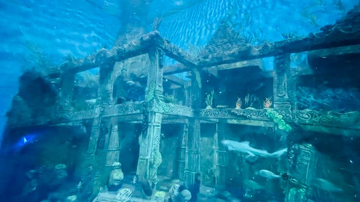 Dwarka visualization